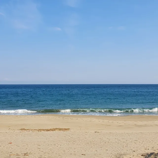 냥냥펀취