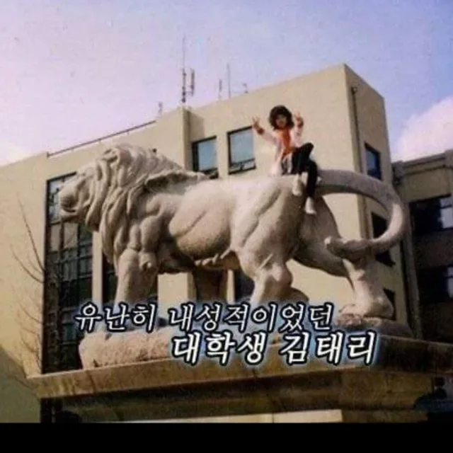인더스4
