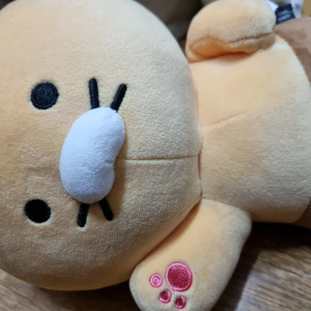 가평춘식이