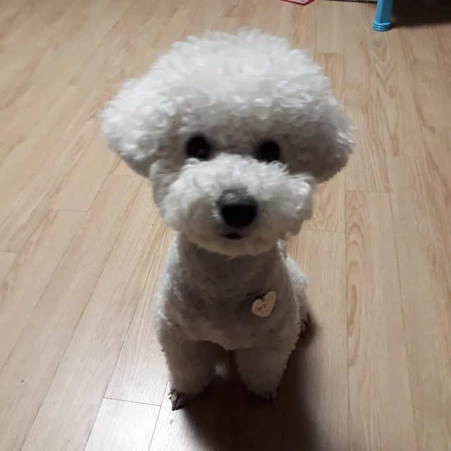 김은희