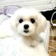 구름이맘