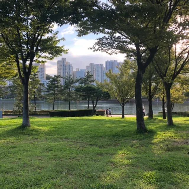 허브