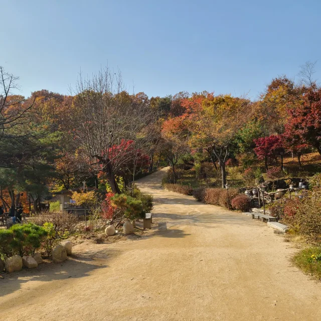 코코맘
