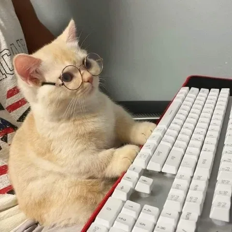 얌얌
