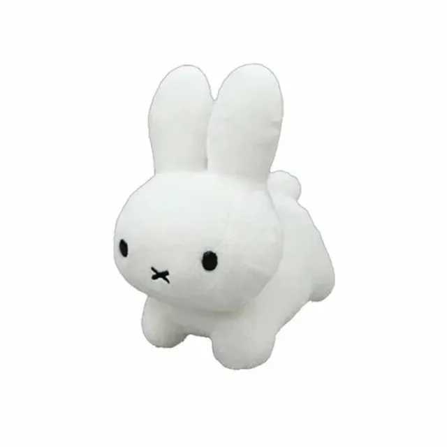 입시생이되어포카