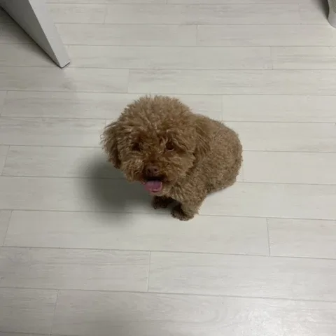 뚜뚜