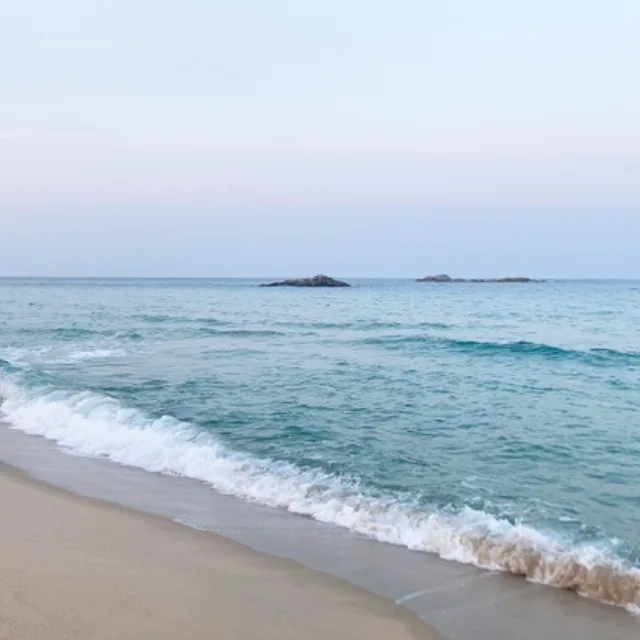 몽글몽글
