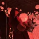 아라라이
