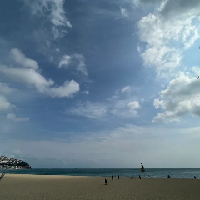 바다