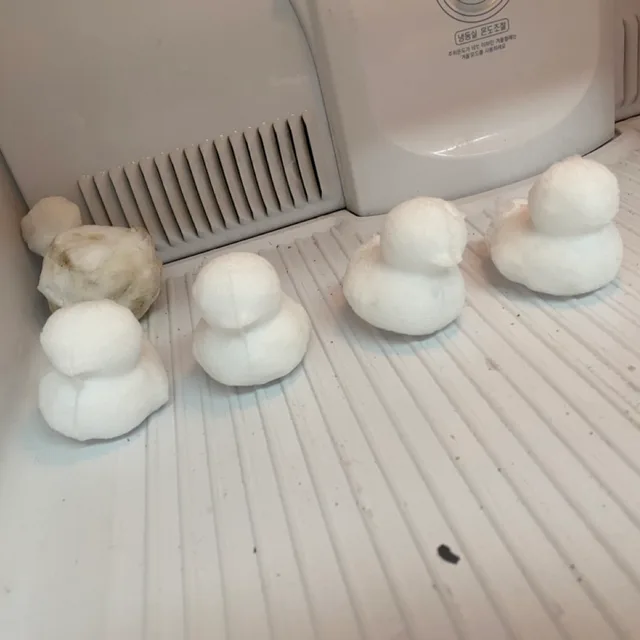 꽥꽥