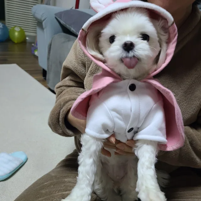 구름구름