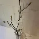 당근당근