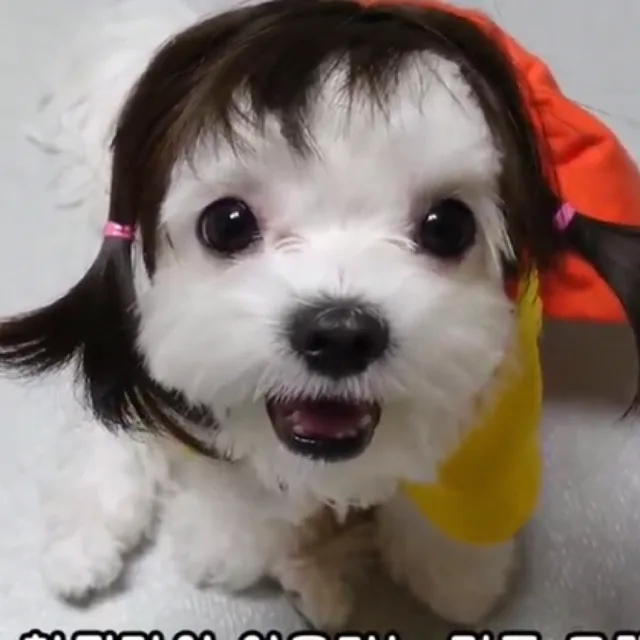 래미
