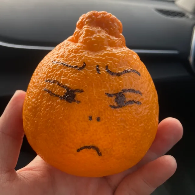 하자덩