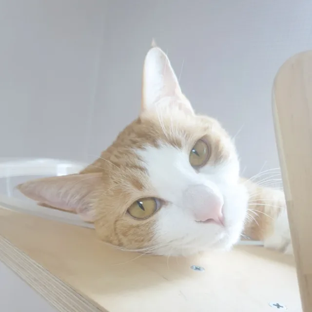 따스함이