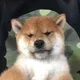 파란하늘