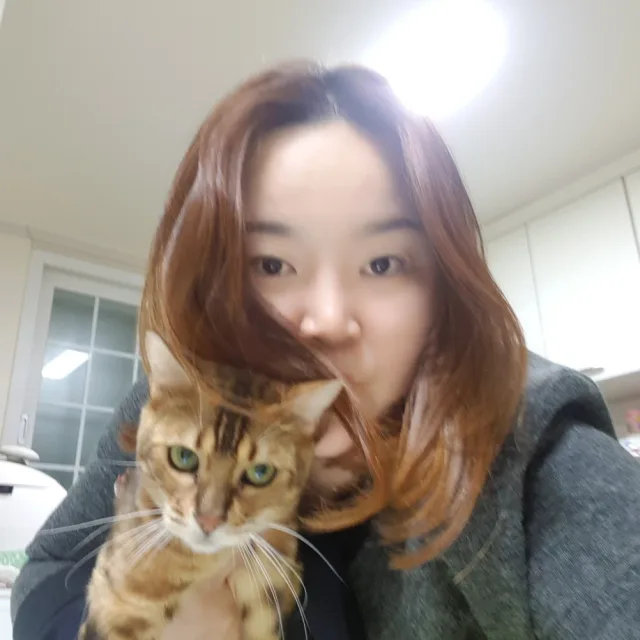 모모