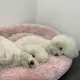 우동면
