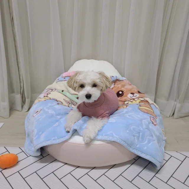 마사루