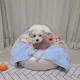 마사루