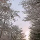 봄러버