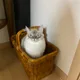 가을이맘