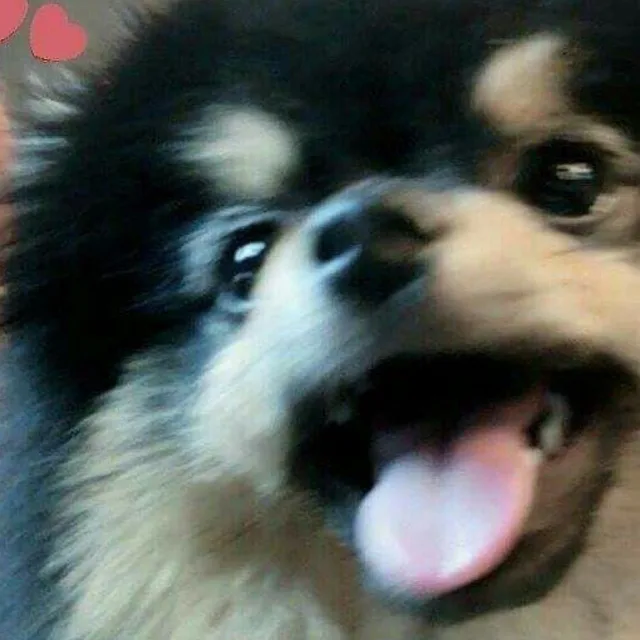 드문