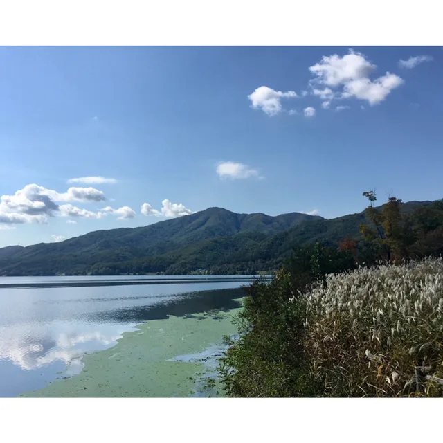 킴스플랜