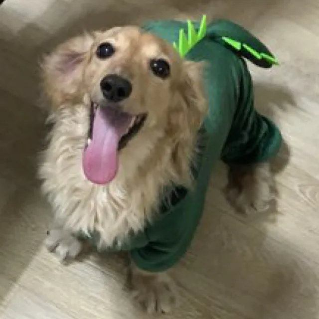 사람