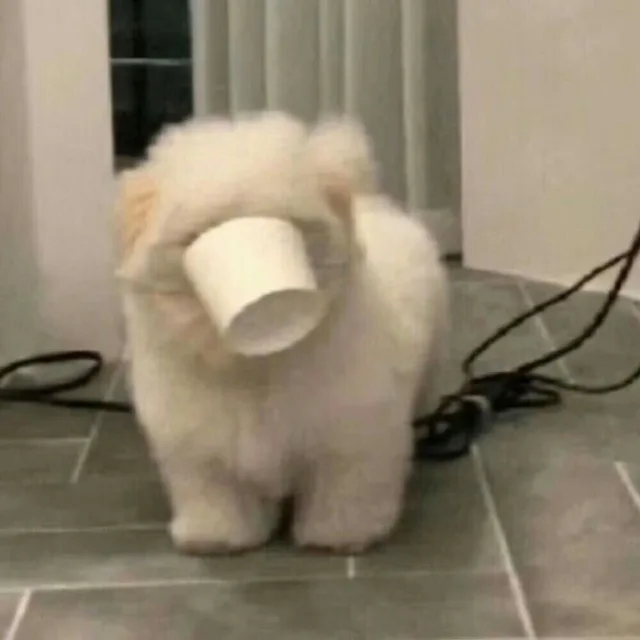 진짜좋은것만나눔
