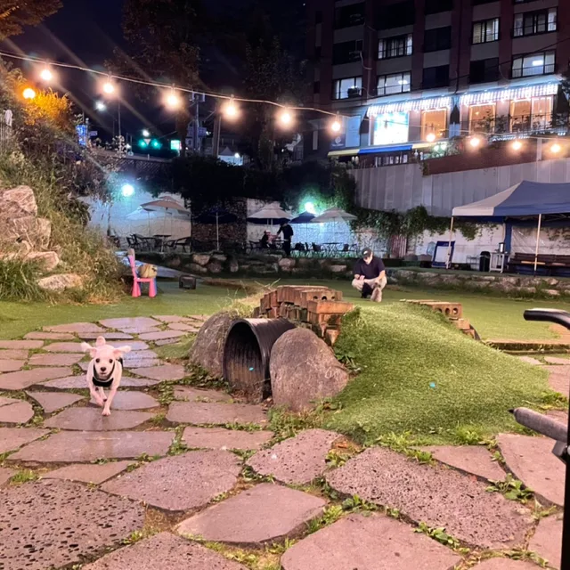 두부맘