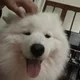 아무개