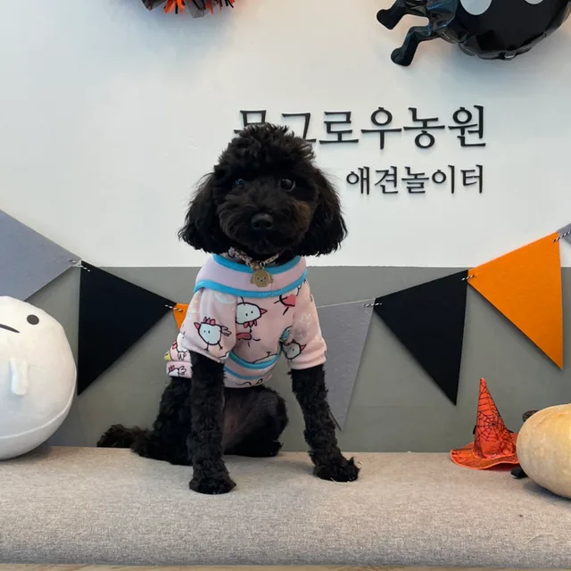 뎅이