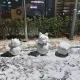 쪼아부러