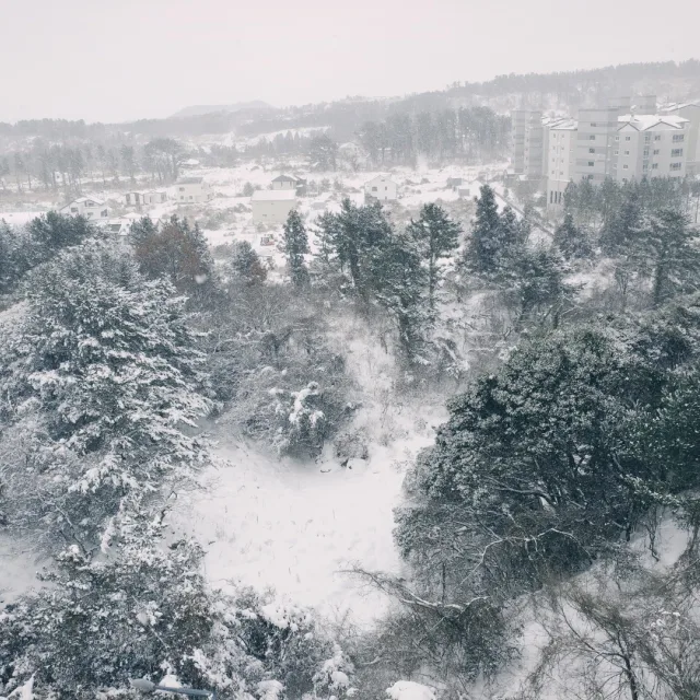 겨울아이