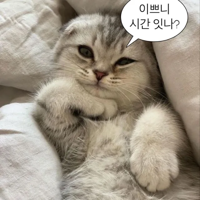 당근수프