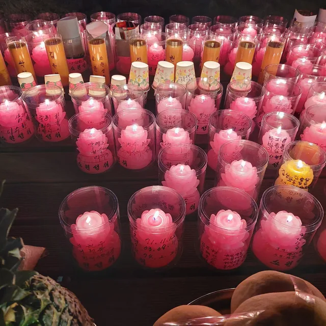 자연인