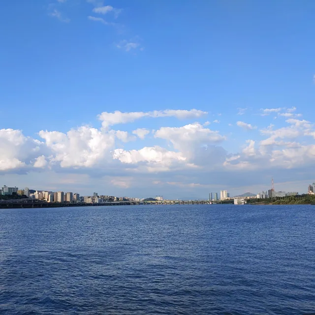띵동댕동명동