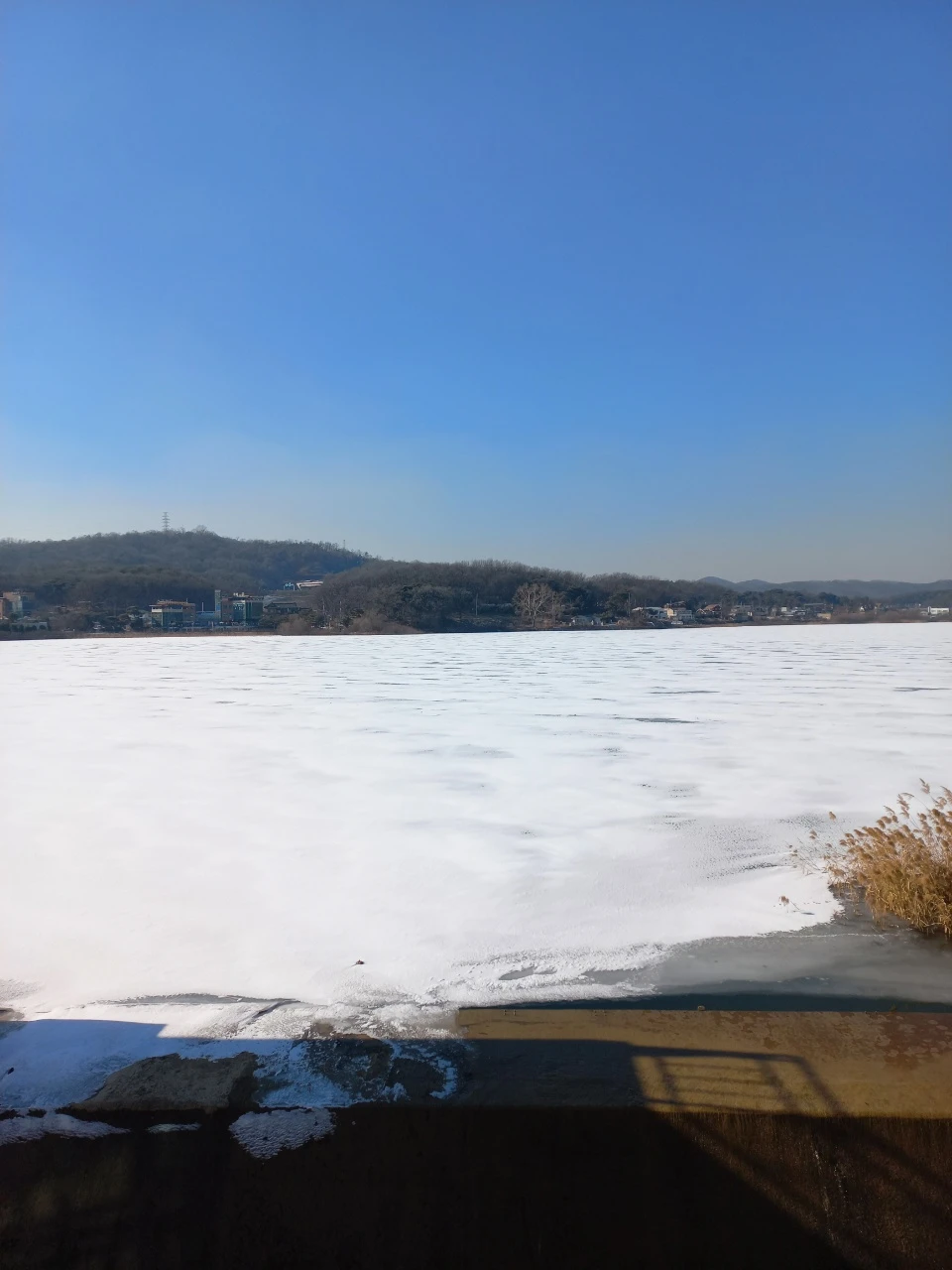 부엉이