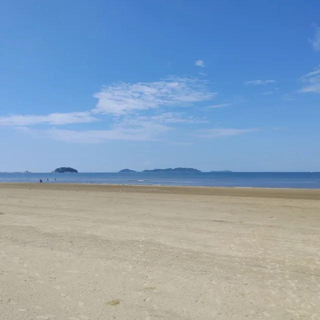 세류1