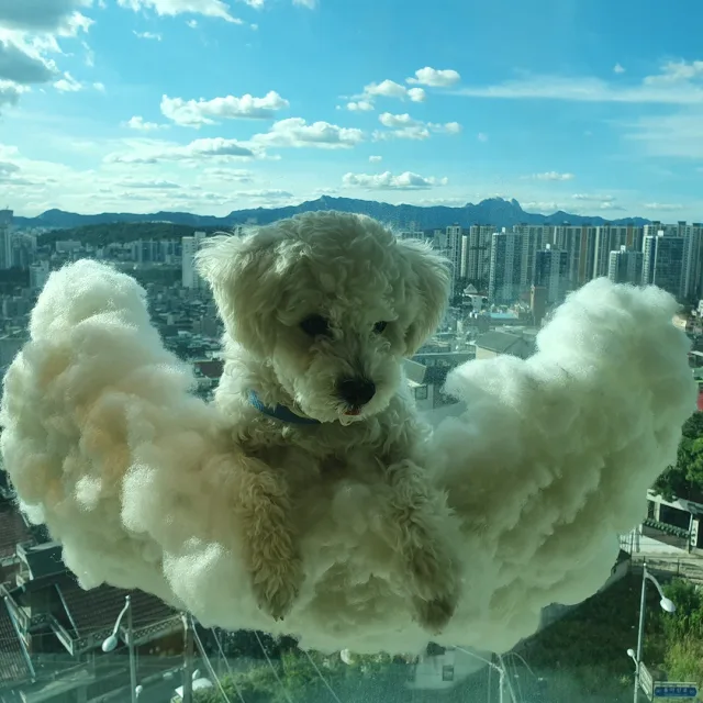 찐찐