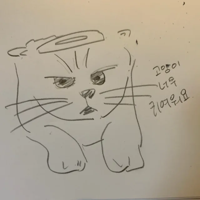 노춘식
