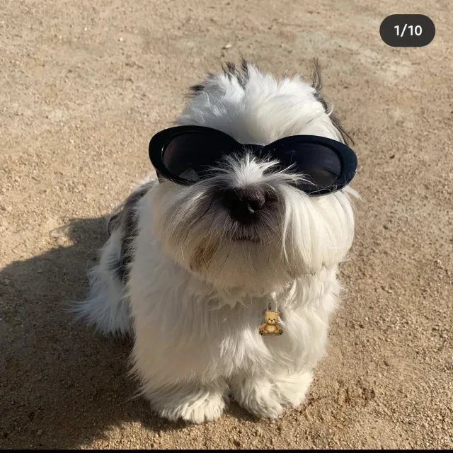다들행복하세요