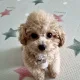 진앤수호