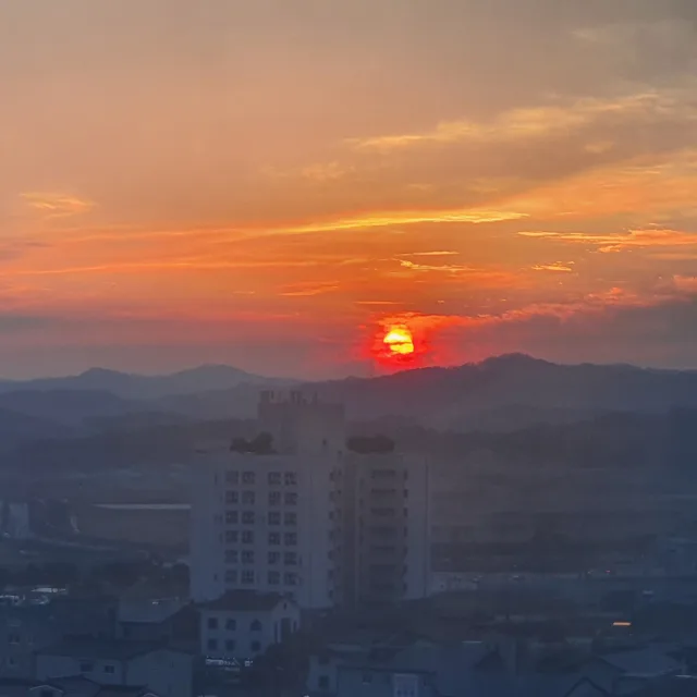 당근홀릭