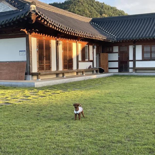 코코