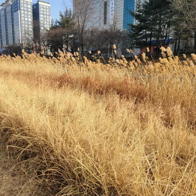 허쉬허쉬68