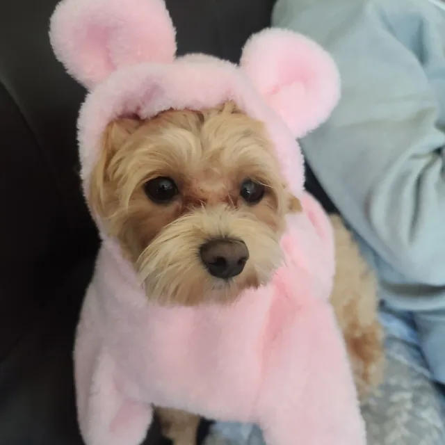제주지킴이