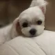 당근이지요