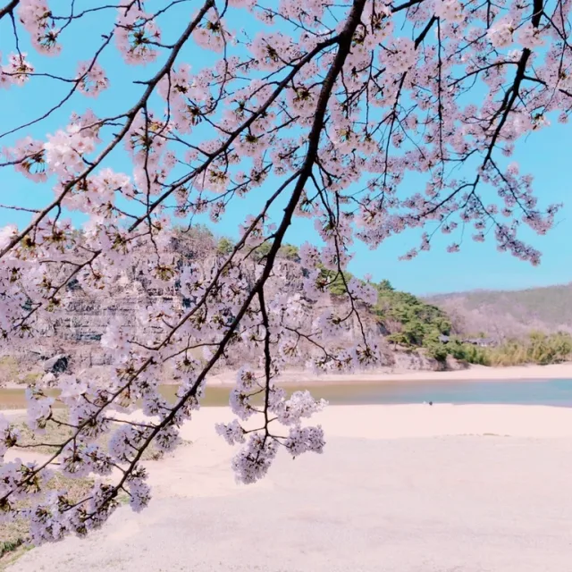 상큼한레몬